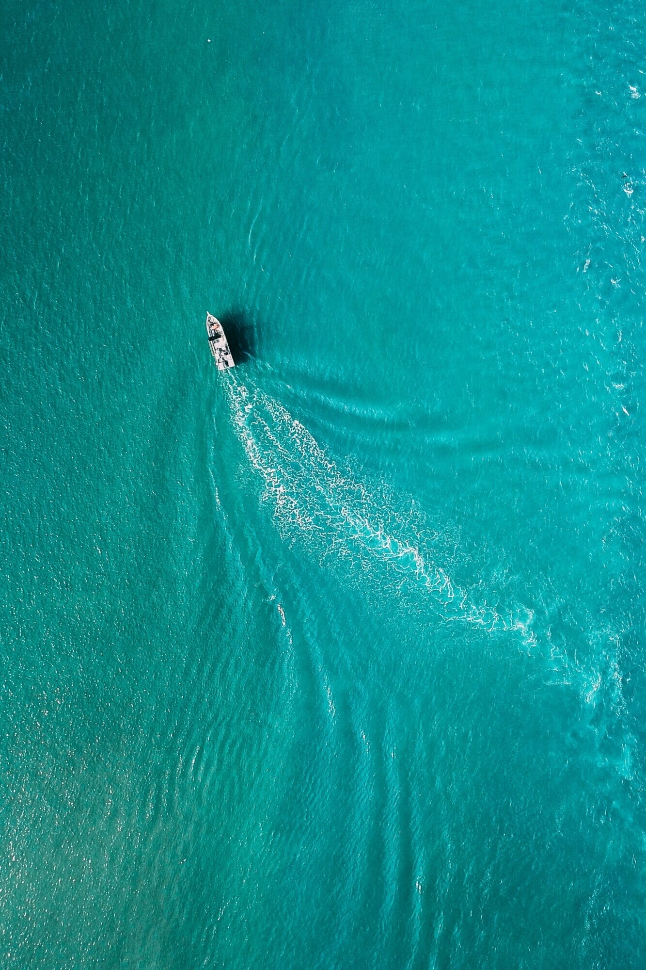 pexels-pok-rie-4669603
